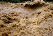 Ысык-Көлдөгү өкүлдүн аппараты селден жабыркагандарга 1 күндүк маянасын которот