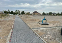 Ак-Өргө конушунда жалпы аянты 2,4 гекарды түзгөн гүл бакча курулууда