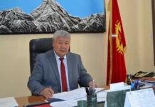 Таалайбек Ибраев: Кыргызстан россиялык газдын импортун көбөйтүүнү пландап жатат