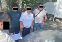 Старшего инспектора ГУОБДД задержали за вымогательство взятки у россиянки