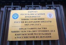 Россияда таксистке кол көтөргөн факты боюнча кылмыш иши козголду