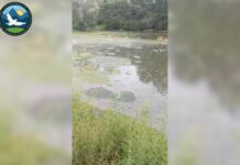 Пансионат «Взморье Сити» в Бостери оштрафовали на 17 тыс. сомов