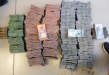 Кыргызстанец пытался незаконно вывезти в Казахстан 147 млн тенге