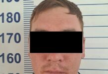 Таласта тогуз уй, 26 баш кой уурдагандар кармалды