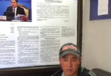 Казакстанга өтүп кеткен 16 баш жылкыны милиция ээсине кайтарып берди