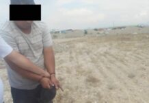 Ири өлчөмдөгү гашиш сатуу жана жеткирүү каналына бөгөт коюлду