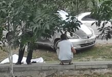 В Бишкеке насмерть сбили пешехода — видео