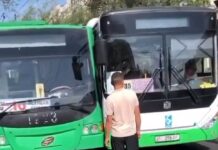 Автобус и троллейбус не поделили дорогу в Бишкеке — видео