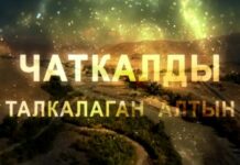 Иликтөө: Чаткалда алтын казып жаткан компаниялардын көбү салык төлөгөн эмес