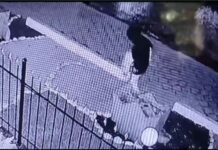 Түнкү саат үчтө белгисиз өспүрүм кыздар ишкананын алдындагы гүлдөрдү талкалап кетишти