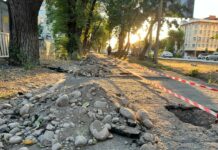 Возле ресторана «Золотой дракон» пресечен незаконный захват земли, — мэрия