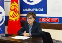 Акыйкатчы Джамиля Джаманбаева жана Азия-Тынч океан форумунун директору Акыйкатчы жөнүндө мыйзам долбоорун талкуулашты