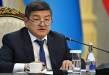 Акылбек Жапаров Кытайга расмий сапар менен барат