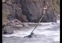 На трассе Бишкек–Ош машина упала в реку. Погибли 5 человек