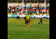 Фанаты выбежали на поле к футболистам «Барсы» во время их матча с детьми