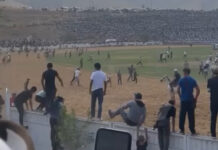 Ош шаарында өткөн көк бөрү оюну жаңжал менен коштолду