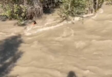 ВИДЕО: Кайгуул милициянын кызматкерлери сууда агып бараткан баланы сактап калышты