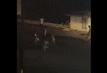 Жалал-Абад шаарында катталган окуя боюнча милициянын билдирүү жасады