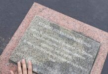 Кутудагы каталар