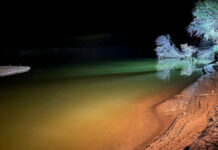 В Казахстане в реке Сырдарья утонули 5 детей и 6 взрослых — члены одной семьи