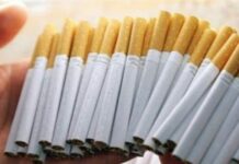 Кыргызстандан Казакстанга мыйзамсыз тамеки ташыгандар кармалды