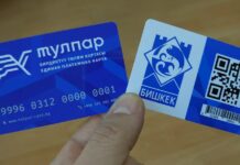 Где купить карты «Тулпар»? Мэрия разработала онлайн-карту