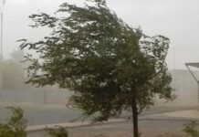 Кечинде Бишкек менен Чүй өрөөнүндө катуу шамал болот