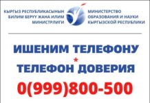 Куда жаловаться на поборы в школах? В Минобразе начал работать телефон доверия