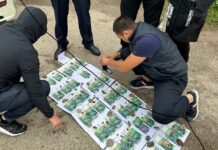 ВИДЕО: УКМК эки салык кызматкерин пара менен кармады