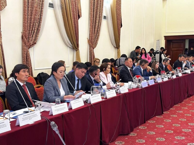 09fc7113 4eea 46cb 8cce 3df9b4f84e3b В Бишкеке провели общественное обсуждение конституционного проекта закона об Акыйкатчы КР