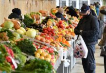 В центре Бишкека пройдет сельскохозяйственная ярмарка