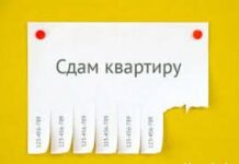 В Бишкеке штрафуют владельцев жилья за сдачу квартир без патентов