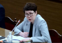 Министру внутренних дел надо спуститься с кресла и пройтись по всем, — депутат о женщине, которой порезали лицо и шею