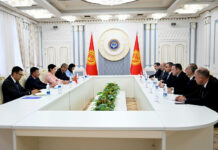 ЖК төрагасынын орун басары Грузиянын парламенттик делегациясы менен жолугушту