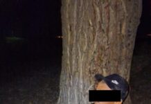 В Чуйской области в одном из исправительных учреждений пресечена попытка переброса наркотиков