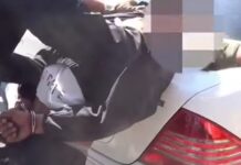 Беспорядки на Кубке кок-бору. Задержаны таласцы, избившие жителей Ошской области