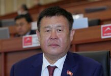 Владелец холдинга «Аю» заочно арестован и водворен в бишкекский СИЗО-1