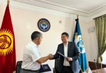 “Дордойдун” жанына дагы бир базар куруу пландалууда