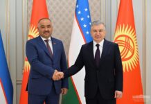 Нурланбек Шакиев встретился с президентом Узбекистана Шавкатом Мирзиёевым