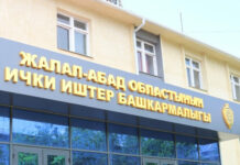 Члены ОПГ Кольбаева пытались убить мужчину в Джалал-Абаде (видео)