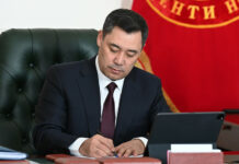 Подписан закон о продлении обязательств КР в рамках ЕАЭС по обустройству всех пунктов пропуска