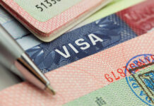 Кыргызстан ввел безвизовый режим сроком до 7 дней для отдельной категории граждан Индии и Китая – МИД