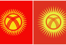«Тогда это будет лопух!» Депутат возмущен инициативой изменения флага Кыргызстана