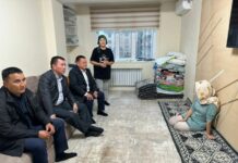 Мужчина истязал бывшую жену. Асель Ногойбаеву навестили чиновники