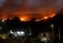 Лесной пожар в Аргентине (видео)