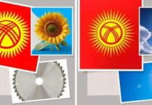 Камчыбек Ташиев мамлекеттик тууну өзгөртүүнү колдой тургандыгын билдирди