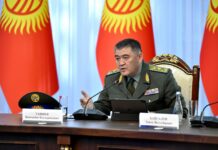 Камчыбек Ташиев поддержал идею изменения флага Кыргызстана