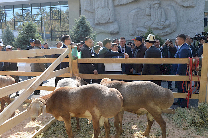 653236e2a3c5c Министрлер кабинетинин төрагасы Бишкекте өтүп жаткан агроөнөр жай көргөзмөсүнө барды 