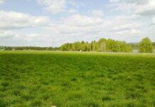 Кара-Сууда мыйзамсыз менчиктештирилген 7 млн сомдук жер тилкеси мамлекетке кайтарылды