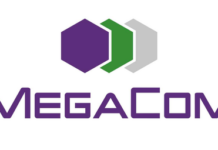 Желающих нет. Аукцион по продаже Mega перенесли